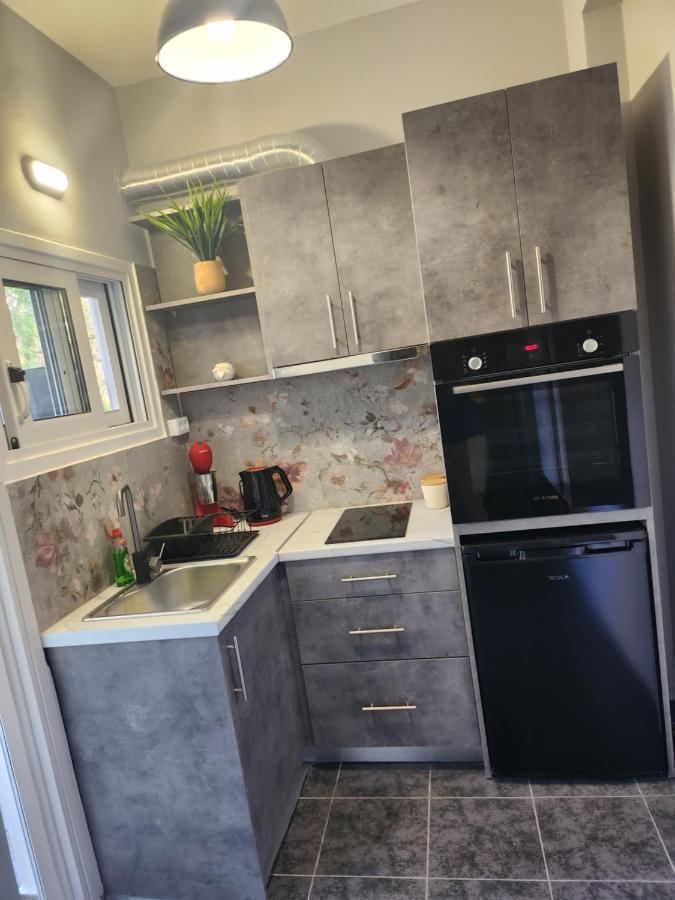 Small Luxury Apartment Анависсос Экстерьер фото